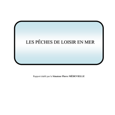 Rapport pêche de loisirs en mer