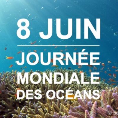 Journée Mondiale des Océans