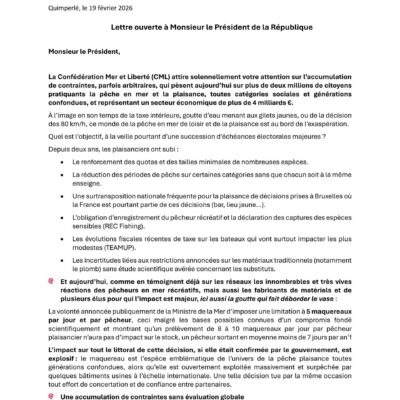 Lettre ouverte à Monsieur le Président de la République